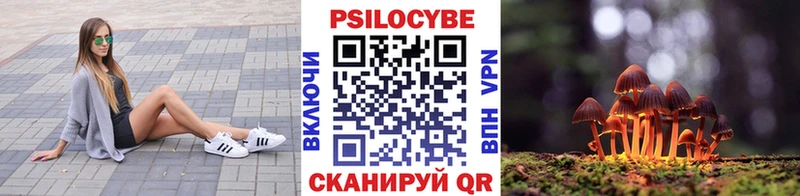дарнет шоп  Благодарный  KRAKEN ТОР  Галлюциногенные грибы мухоморы 